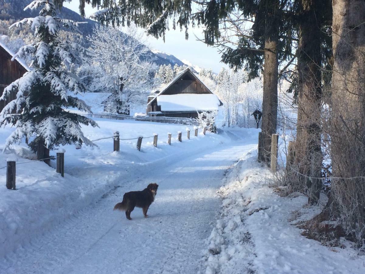 Ferienwohnungen Gritzner Tröpolach Dış mekan fotoğraf